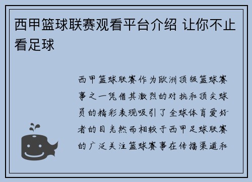西甲篮球联赛观看平台介绍 让你不止看足球